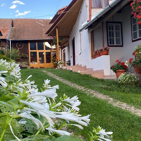 ホテル Casa Kelemen Iren ルメテア エクステリア 写真
