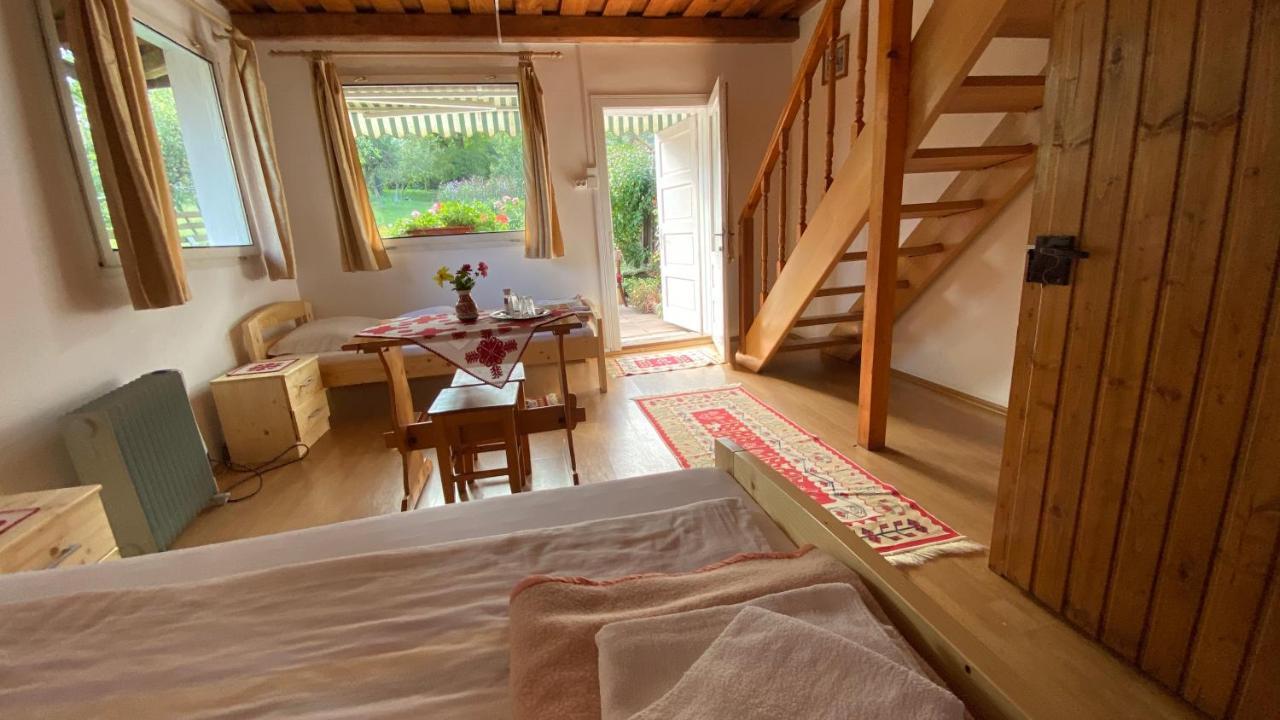 ホテル Casa Kelemen Iren ルメテア エクステリア 写真