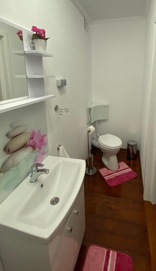 ホテル Casa Kelemen Iren ルメテア エクステリア 写真
